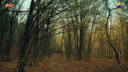 Kurulus Osman Urdu  Season 01  Episode 14  Digitally Presented by Shan Foods