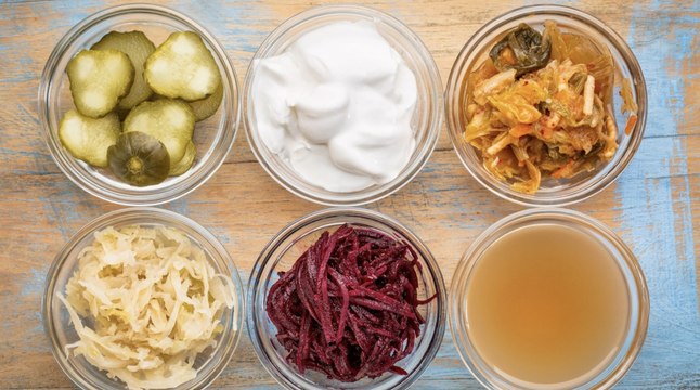 What is Lacto Fermentation?