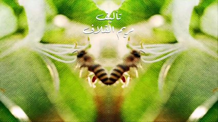 نبض مؤقت الحلقة 9