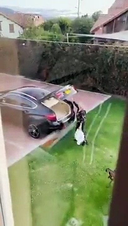 Best videos, Top videos, Viral videos Funny videos no. 154