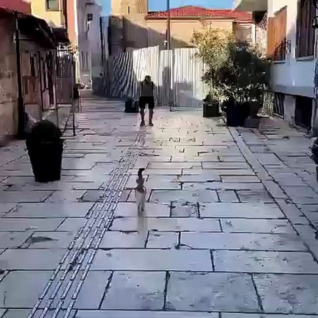 Best videos, Top videos, Viral videos Funny videos no. 156