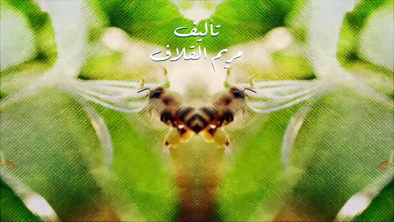 نبض مؤقت 11