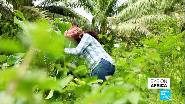 Chad bids farewell to Idriss Déby as France, other allies back his son