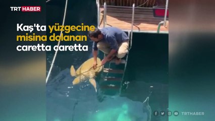 Deniz kaplumbağasının imdadına hayvanseverler yetişti