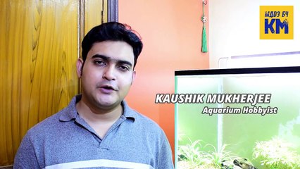 How To Make : Diy Aquarium Water Conditioner / Chlorine Remover / Anti Chlorine / Dechlorinator