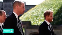 Prince Harry and Prince William Reunite At Prince Philip's Funeral
