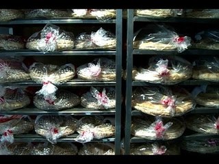 لعيون الشيخ سعد: ربطة الخبز بـ500 ليرة! - عمر خداج