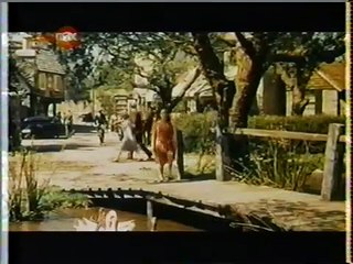 Elizabeth Taylor Subtitulos Español