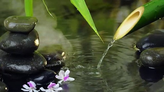 Bamboo Water Fountain + Tibetan Bowls | White Noise For Sleep, Studying, Meditation, Yoga