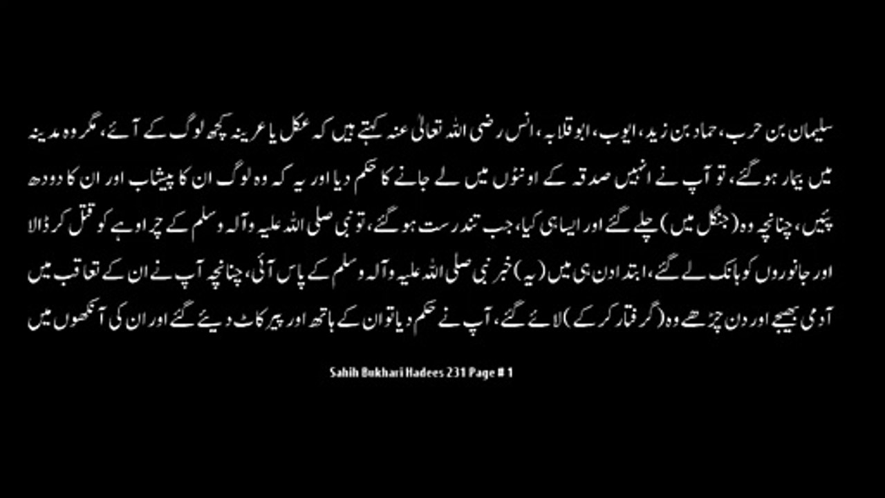 Watch *Hadith 231 Sahih Bukhari*