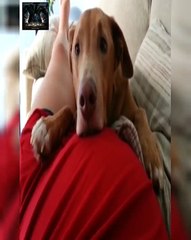 Este profesor si que sabe llamar la atencion de sus alumnos