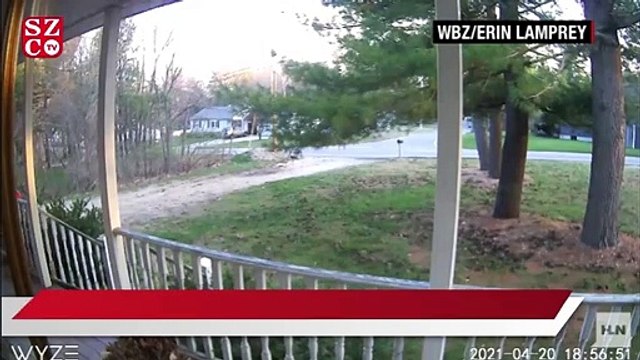 ABD'de cinsiyet açıklama partisinde patlama