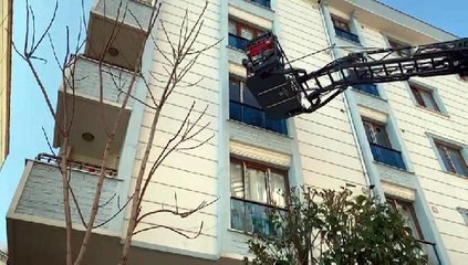 AVCILAR'DA CAM BALKONDA MAHSUR KALAN GÜVERCİN KURTARILDI
