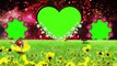 Wedding green screen Effects HD Video 043/Very Beautiful Dil green photo frame background