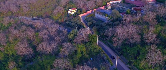 Carmine Di Tommaso - Pe' 'Na Vota Ancora  -