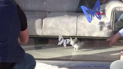 VAN KISITLAMADA KAPALI MAĞAZANIN SAHİBİNE ULAŞIP, MAHSUR KALAN KEDİYİ ÇIKARDILAR