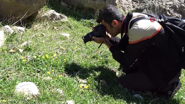 Terörden temizlenen Gabar ve Cudi Dağı fotoğrafçılara mekan oldu