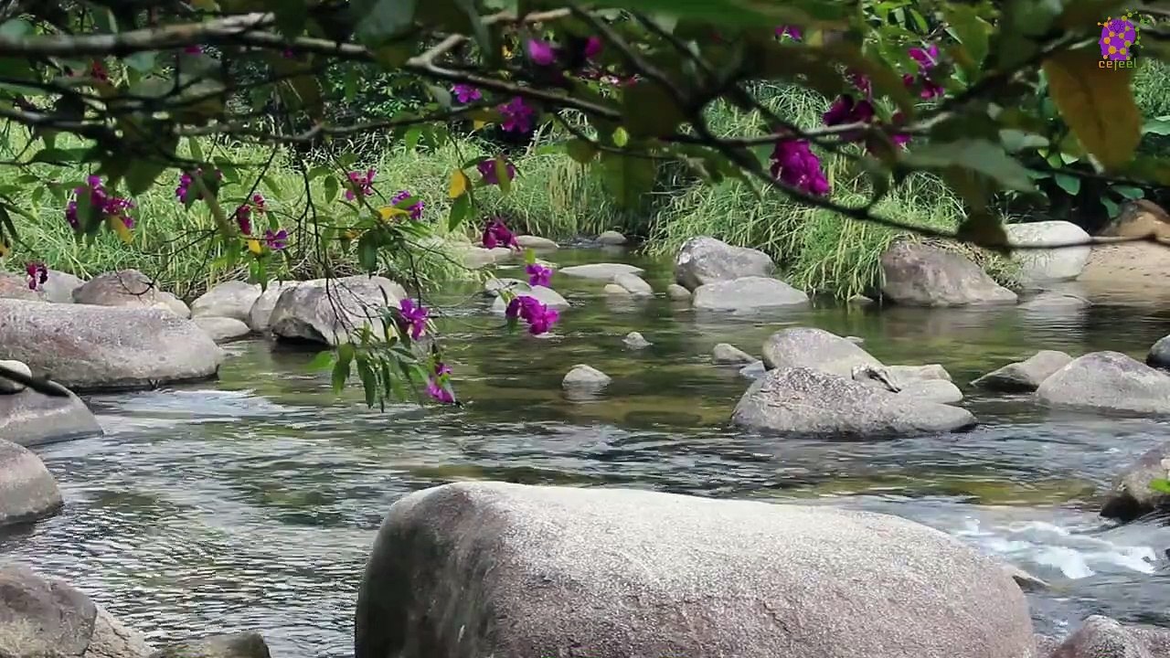 15 Minute Deep Focus Music | Concentration | Study | River | Sleep | Calming Down | Soothing | Being in Present Moment | Meditation | Instrumental | Slow | Healing |  Relaxing | Mindfulness | Self-love
