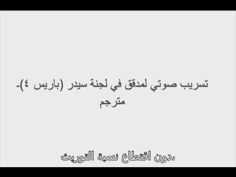 الردّ على التسجيل الصوتي للمدقق الدولي حول مؤتمر سيدر سجل في لبنان - هادي الامين