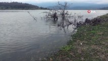 Gölköy Baraj Gölü’nde su seviyesi yüzde 90’lara ulaştı