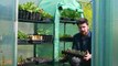 Seedling Care Basics | How To Water & Protect Vegetable Seedlings The No-Nonsense Way