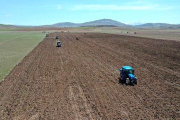 Vali traktöre bindi, yem bitkisi tohumu ekti