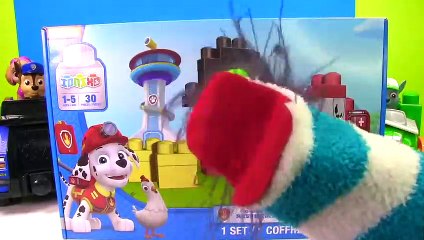 Fizzy And Paw Patrol Learning Colors And Counting Video For Kids