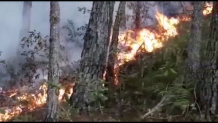 Extinguen fuego en Sierra de Bahoruco