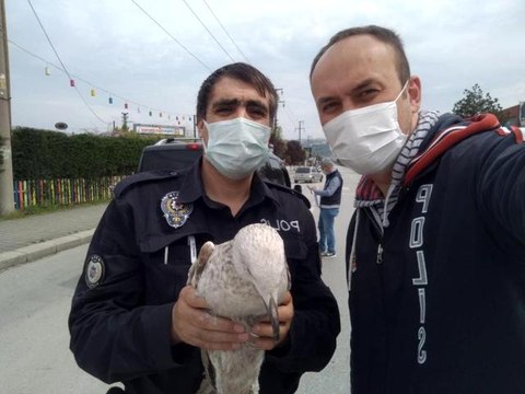 Ayağına maske ipi dolaşan yaralı martının imdadına polis ekipleri koştu