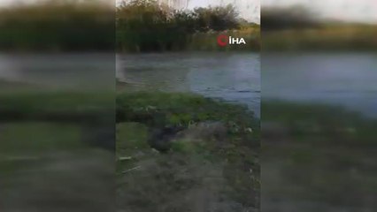 Meksikalı dedenin torun sevgisi sınır tanımadı