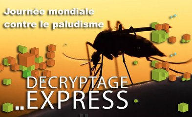 Journée mondiale contre le paludisme