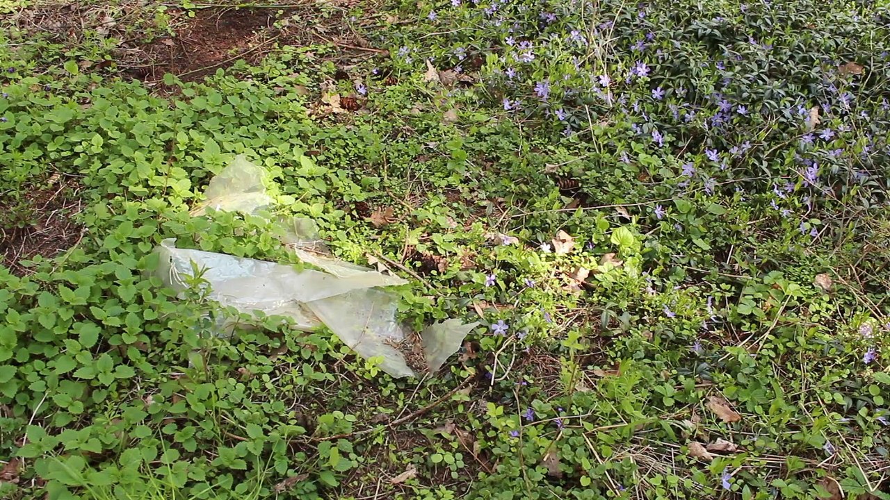 Das Wandern ist des Müllers Lust - Der Abfall ist des Wanderers Frust