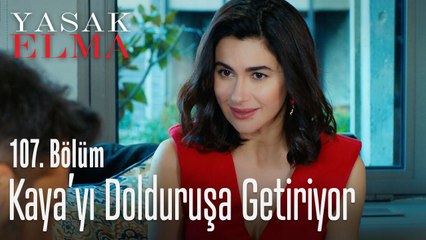 Şahika, Kaya'yı dolduruşa getiriyor - Yasak Elma 107. Bölüm