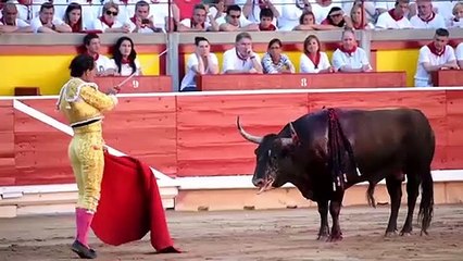 İşte boğa güreşlerinin kanlı perde arkası