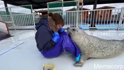 Funny Memes Just For You Dude