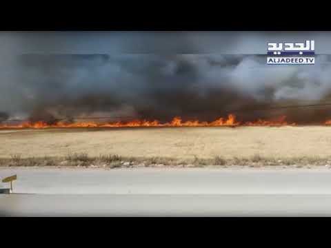 حريق هائل يلتهم 50 دنمًا من القمح في البقاع