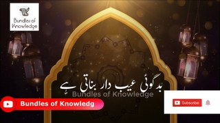 Badgoi Aur Narmgoi - بدگوئی اور نرم گوئی - Hadess e Pak - Bundles Of Knowledge