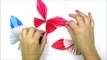 Diy Origami Butterfly | How To Make Paper Butterfly | 3D Butterfly