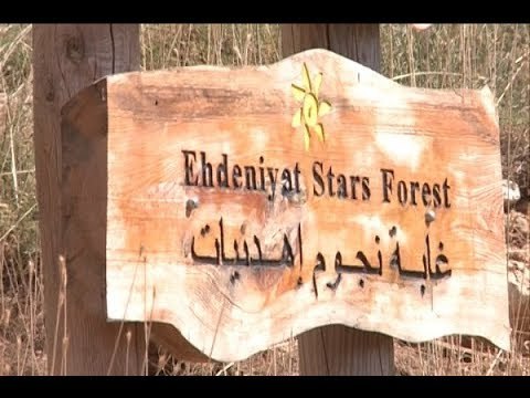 إهدنيات.. من مهرجانٍ محليّ إلى العالمية بأبعاد ثلاثية - جويل الحاج موسى