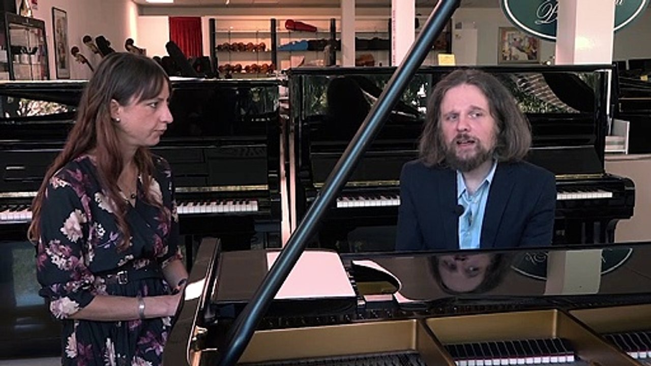 Giulio Andreetta - La professione del musicista