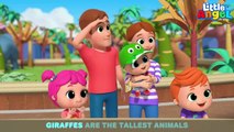 Animals At The Zoo | Learning About Zoo Animals | Little Angel Kids Songs & Nursery Rhymes
