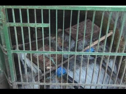 العطش يجتاح عشرات البلدات غرب بعلبك - شوقي سعيد