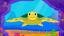 Tooty Ta Sea Turtle | Sea Animals Songs | Pinkfong Songs For Children