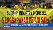 Tebarkan Uang Sebagai Bentuk Protes, Petani Kelapa Sawit Minta Susbsidi Biodiesel Dicabut