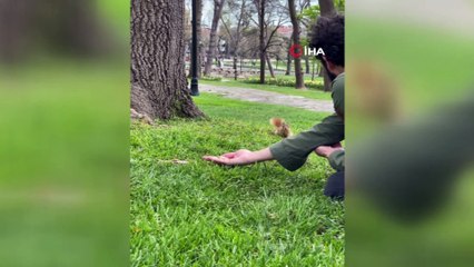 Emirgan Korusu’nda sincapları elleriyle besledi