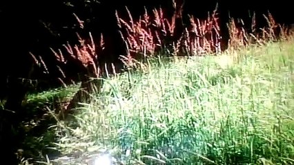 Tales From Darkside Halloween Candy