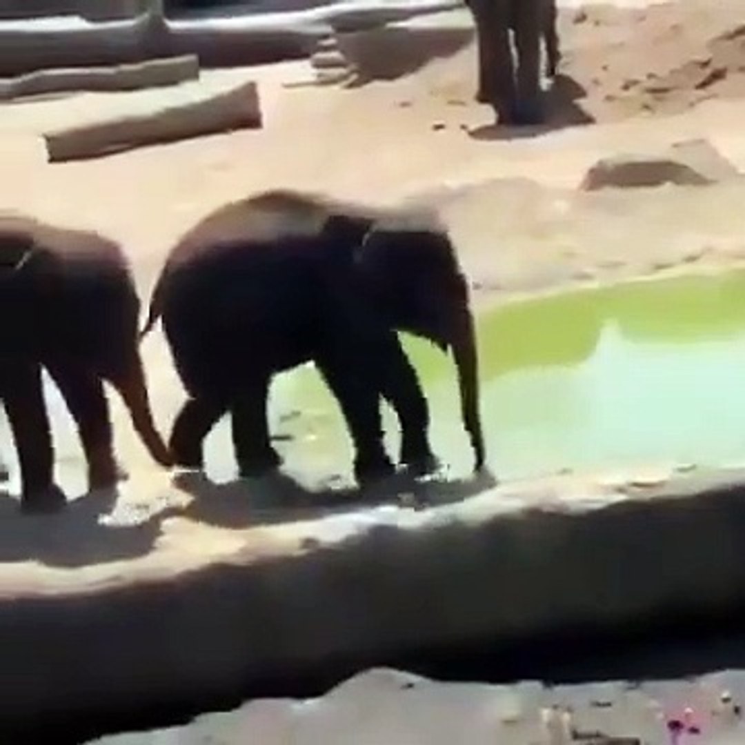 Best videos, Top videos, Viral videos Funny videos no. 162