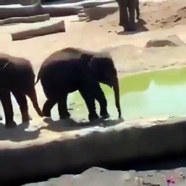 Best videos, Top videos, Viral videos Funny videos no. 162