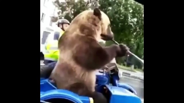 try not to laugh 9 SLAV edition Russian (2021)