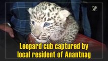 Anantnag resident captures leopard cub